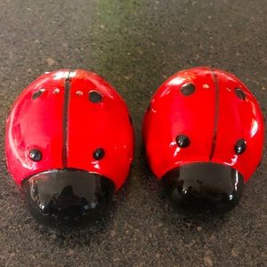 Ladybug salt and pepper shakers